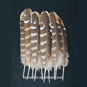 Horng Shya Naturel <span class=keywords><strong>La</strong></span> Vénerie Faisan Aile Tours Nat.4.5-5.5in 10 pcs Plumes De Faisan - Product Image 1