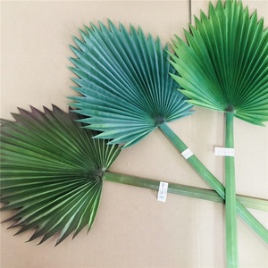 F-3306 Hojas de <span class=keywords><strong>Palma</strong></span> Artificiales Baratas y Populares, Hojas de Palmera - Product Image 2