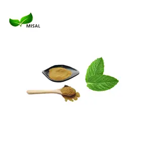 Organic wild mint สารสกัดจากสมุนไพร/mint leaf extract/mint extract