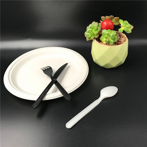 2025 Smart Compostable Cpla Fourchette Couteau et Cuillère Ensemble 6 Pouces 150mm Biodégradable Jetable <span class=keywords><strong>Camping</strong></span> <span class=keywords><strong>Couverts</strong></span> pour Enfants - Product Image 6