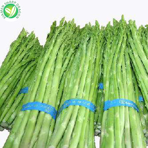 Chino fresco congelado IQF espárragos para venta - Product Image 2