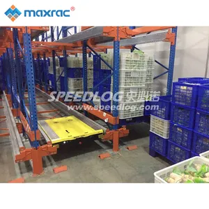 Rack Price Hot Sale Warehouse Storage Rack Radio Shuttle Racking System