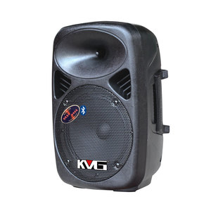 Temeisheng professional 8 inch active plastic speaker cabinet system
