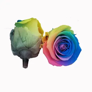 Yunnan Kunming Groothandel Rose Regenboog Kleuren Grote Geconserveerde Rozen