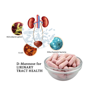 Lifepo4 <span class=keywords><strong>d</strong></span> capsule à base de plantes pour voies urinaires de mannose - Product Image 2