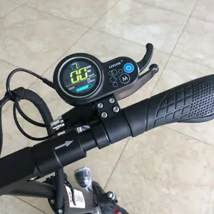 Bateria de íon de lítio de 10 polegadas, balanço inteligente de duas rodas, scooter elétrico