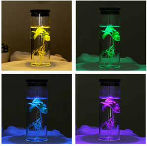 NUEVO Tarro <span class=keywords><strong>de</strong></span> planta <span class=keywords><strong>de</strong></span> vidrio <span class=keywords><strong>de</strong></span> terrario en miniatura al por mayor con tapa <span class=keywords><strong>de</strong></span> acero inoxidable Florero <span class=keywords><strong>de</strong></span> vidrio <span class=keywords><strong>de</strong></span> salida <span class=keywords><strong>de</strong></span> fábrica - Product Image 2