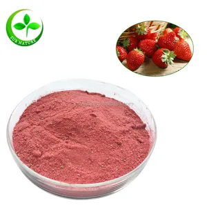 Alibaba Gold Supplier Organic Strawberry Juice Rowder