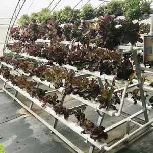 Pvc Pijp Hydroponic Systeem Voor Tuin