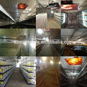 Calentador Eléctrico Portátil Infrarrojo <span class=keywords><strong>para</strong></span> Aves de Corral, <span class=keywords><strong>para</strong></span> Pollitos Bebés - Product Image 5