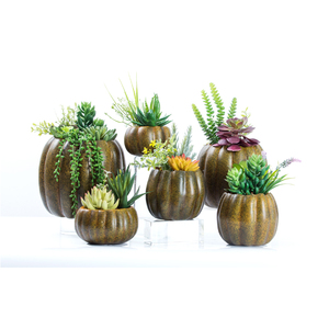Commercio all'ingrosso decorativo personalizzato <span class=keywords><strong>Zucca</strong></span> in vaso falso succulente <span class=keywords><strong>pianta</strong></span> artificiale per la decorazione domestica - Product Image 1