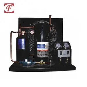 Vendita calda camera Fredda utilizzato Copeland compressore di refrigerazione unità di condensazione 6HP