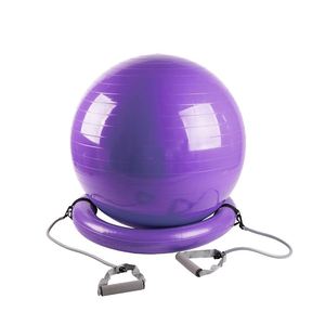 65cm PVC Exercise Balance Ball Chair with Inflatable Stability Ring Ergonomic Office Furniture - Product Image 2
