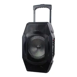 Temei sheng Pro Audio Pa Lautsprecher, Bass Sound System Lautsprecher und BT Lautsprecher