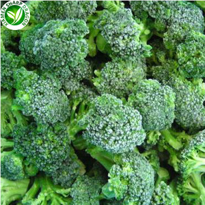 Fresco vegetales congelados IQF a granel brócoli para venta - Product Image 4