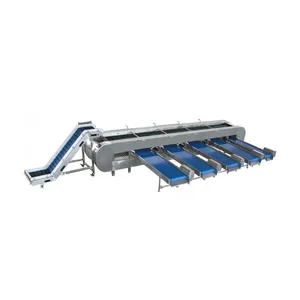 Low price squid sorter by size with eversion roller squid sorting machine