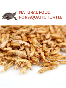 Nourriture pour Tortues <span class=keywords><strong>Gammarus</strong></span>, Crevettes Brésiliennes Séchées, Alimentation en Grains pour Tortues Chinoises - Product Image 4