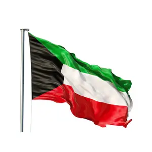 Huiyi Promotionele Custom Printing Polyester Nylon Sublimatie Digitaal Gedrukt Uae United Arabische Emiraten Nationale Vlag