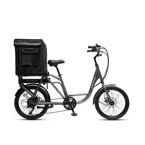 Bicycle Cargo Fast Delivery Electric Bike Delivery Business Bike 20 Inch