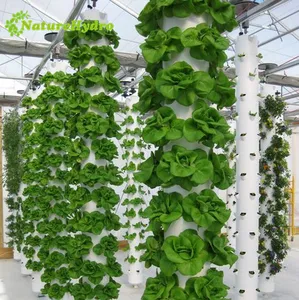 شنقا aeroponic برج عمودي حديقة برج نظام زراعة