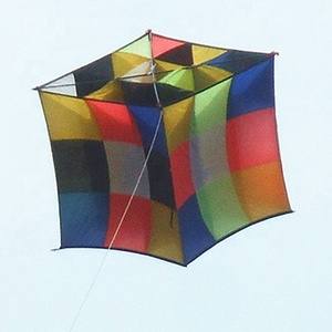 promotional 3D beer box kite tridimensional style solid kite from the kite factory with OEM ODM design