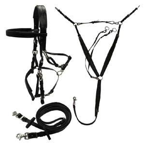 ชุดอุปกรณ์ขี่ม้าแบบตะวันตกครบชุด ยี่ห้อ Charm สำหรับการแข่งขันขี่ม้าแบบ Endurance ประกอบด้วยสายจูงม้า อานม้าแบบอังกฤษ ผลิตในจีน ทำจากไนลอนและพีวีซี - Product Image 6