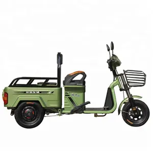Mini Electric Passenger And Goods Double Service Truck Tricycle for Sale