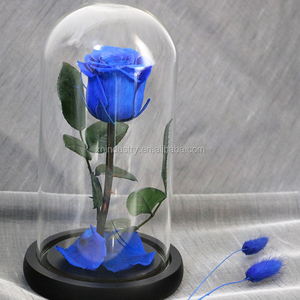 Kotak Mawar Alami Hadiah Hari Valentine Kualitas Tinggi Yang Pangeran Kecil Mawar Abadi Mawar Yang Diawetkan Dalam Kubah Kaca - Product Image 5