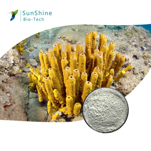 SQT Spongilla Spicule sünger iğne özü için kullanılan cilt yenileme etkili anti-akne tatlı su sünger tozu - Product Image 1