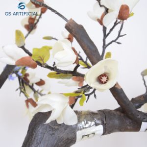 <span class=keywords><strong>Lirio</strong></span> Artificial Magnolia Camelia flor hojas árbol Tropical exótica <span class=keywords><strong>Casa</strong></span> de oficina - Product Image 3