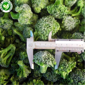 Fresco vegetales congelados IQF a granel brócoli para venta - Product Image 6