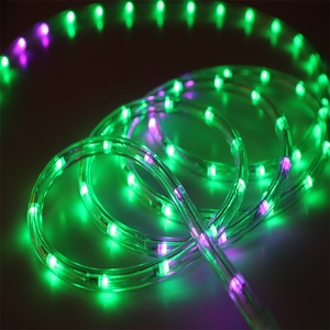 Vendita calda esterna di colore che cambia illuminazione corda luce della corda del led 220v 110v 24v 12v - Product Image 3
