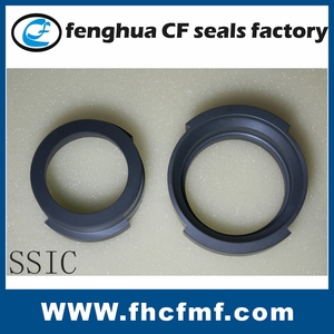 La sinterización SiC/SSIC de cerámica sello mecánico inmóvil cara anillo - Product Image 2