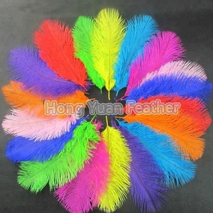 <span class=keywords><strong>Acheter</strong></span> blanc artificielle d'autruche maîtresses de couleur terne grand boa en vrac <span class=keywords><strong>plumes</strong></span> d'autruche ventilateur - Product Image 2