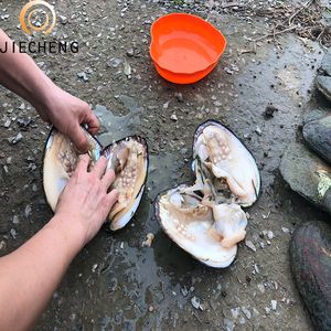 <span class=keywords><strong>Perlas</strong></span> <span class=keywords><strong>cultivadas</strong></span> al por mayor, mayas de <span class=keywords><strong>perlas</strong></span> naturales de agua dulce con mucha perla - Product Image 5