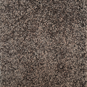 <span class=keywords><strong>Tapis</strong></span> à poils longs en polyester pour le salon, poils ras du cou - Product Image 1