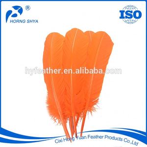 Fabricante, hecho en China, venta al por mayor colorido teñido a granel Turquía <span class=keywords><strong>plumas</strong></span> de marabú para venta - Product Image 2