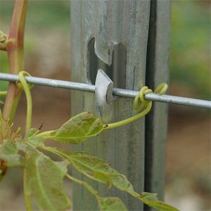 Palo per <span class=keywords><strong>Vigneto</strong></span>/Traliccio in Metallo Zincato con Foro a H Alon DQ-GP226, Ecologico, Altezza 1.8m-4m - Product Image 4