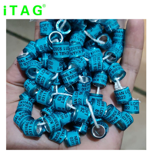 Vòng <span class=keywords><strong>Pigeon</strong></span> Với In Số & LOGO, Oem Cao Su <span class=keywords><strong>Pigeon</strong></span> Vòng Tag Để Truy Tìm & Quản Lý <span class=keywords><strong>Pigeon</strong></span> - Product Image 6