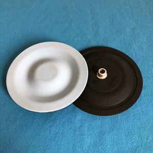 कस्टम वाल्व पंप भागों PTFE डायाफ्राम फैक्टरी प्रत्यक्ष बिक्री - Product Image 2