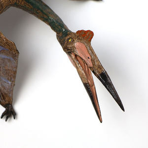 Juguetes de dinosaurios de animales de Pterosaurio de PVC para niños para jóvenes que aman a los dinosaurios - Product Image 4