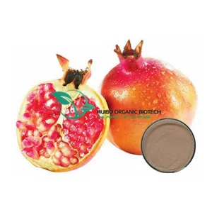 Bulk instant Pomegranate powder for drink