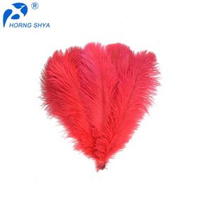 Parte superior de caliente-venta de <span class=keywords><strong>la</strong></span> fábrica de varios tipos de excelente calidad plumas de avestruz - Product Image 1