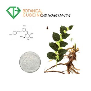 Pharmaceutiques Polygonum Cuspidatum Racine Extrait Japonais <span class=keywords><strong>Renou</strong></span>ée Resvératrol 98% - Product Image 4