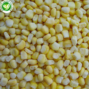 Chino congelado tipo iqf maíz dulce para la venta - Product Image 5