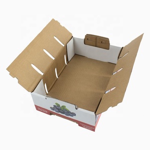 Nhà Máy Tùy Chỉnh Trái Cây Blueberry Hộp Đóng Gói 51b - Product Image 5