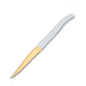 Venta caliente globalización estilo laguiole cuchillos de cocina con cuchillo de hoja de sierra - Product Image 1