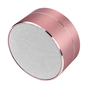 Nieuwkomers 2019 Metal Mini Draagbare Actieve Plafond Draadloze Speaker Met Kabel