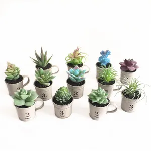Hot indoor decoration Mini Faux Succulent Plants potted with mini round base for office desk decoration