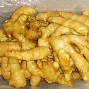 Gừng Tươi Mới/Gừng Khô/Jengibre/ Gingembre - Product Image 4